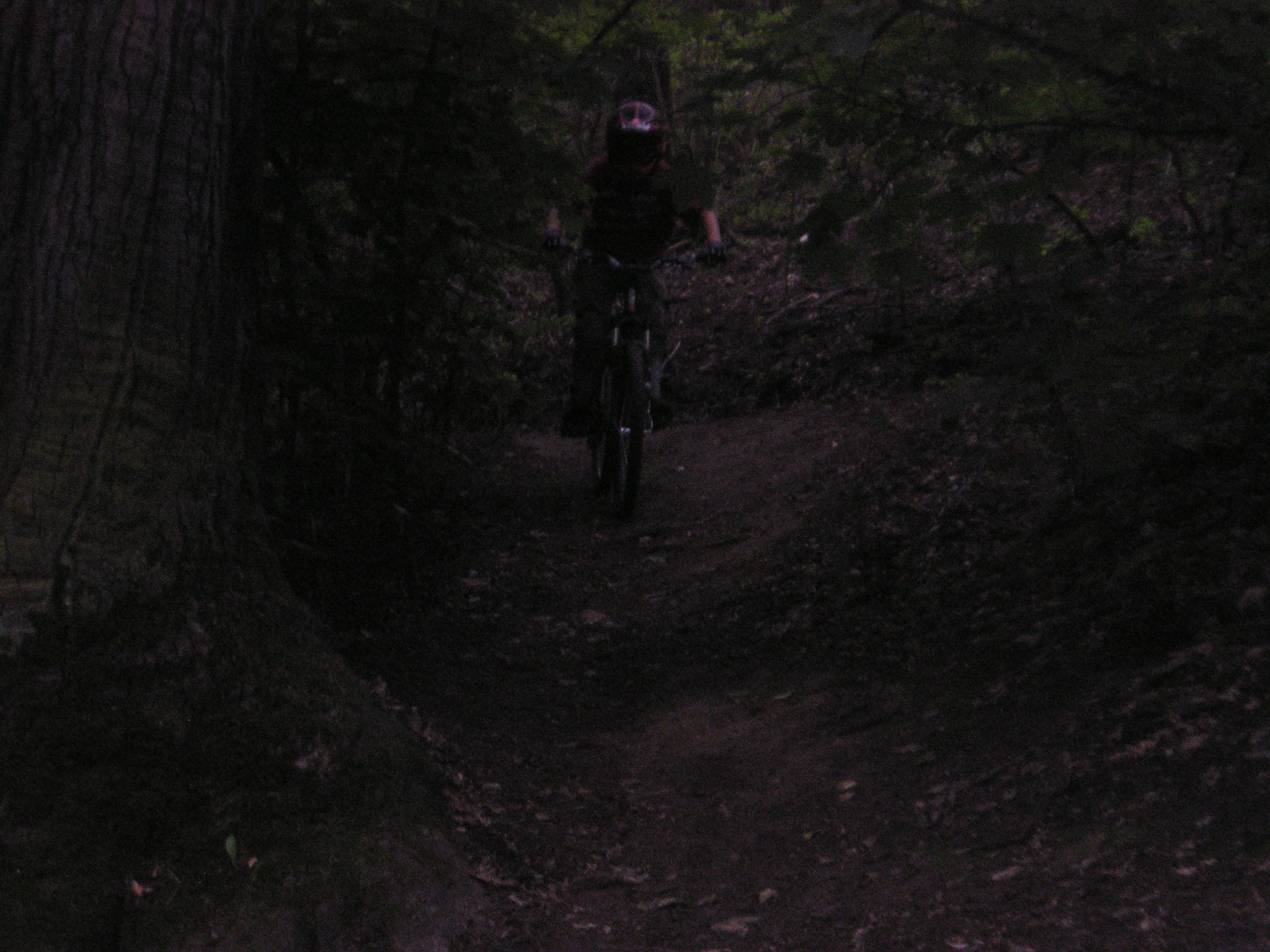 P1010222.JPG